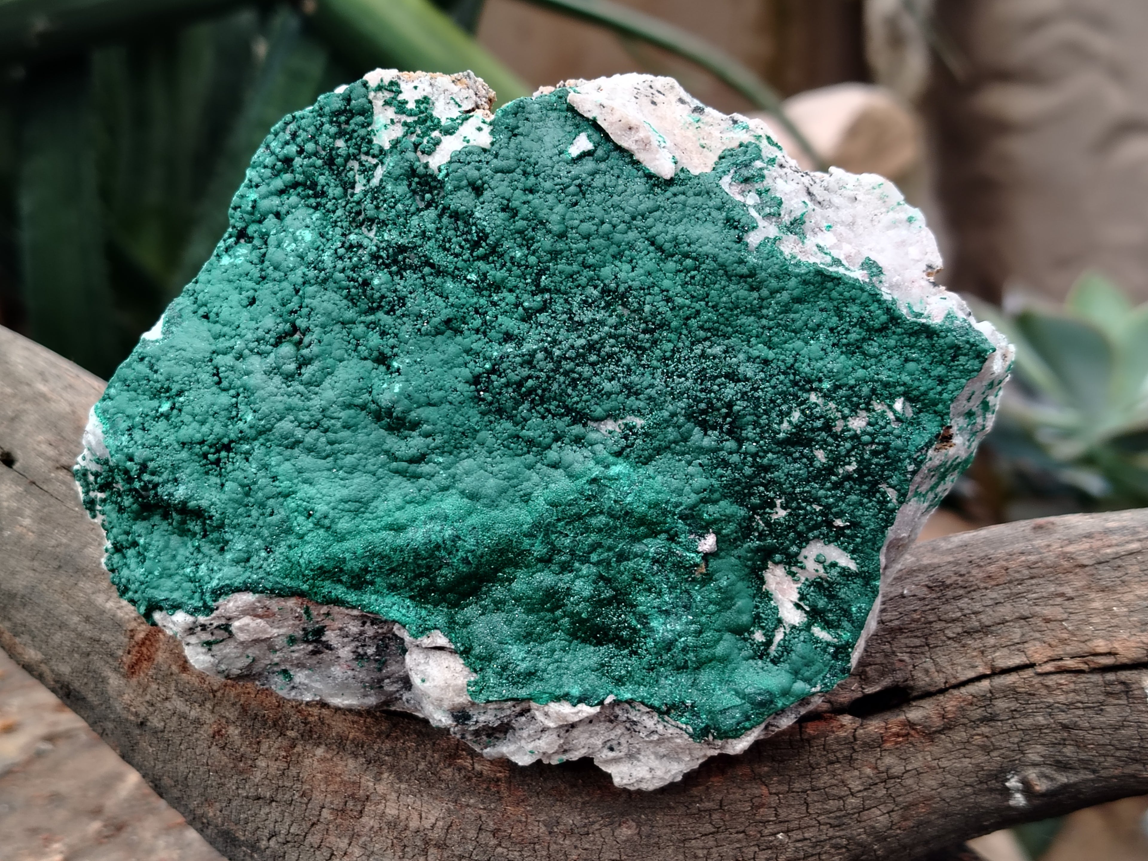 Natural Botryoidal Malachite Specimens x 4 From Tenke Fungurume, Congo - Toprock Gemstones and Minerals 