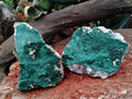 Natural Botryoidal Malachite Specimens x 4 From Tenke Fungurume, Congo - Toprock Gemstones and Minerals 