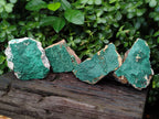 Natural Botryoidal Malachite Specimens x 4 From Tenke Fungurume, Congo - Toprock Gemstones and Minerals 