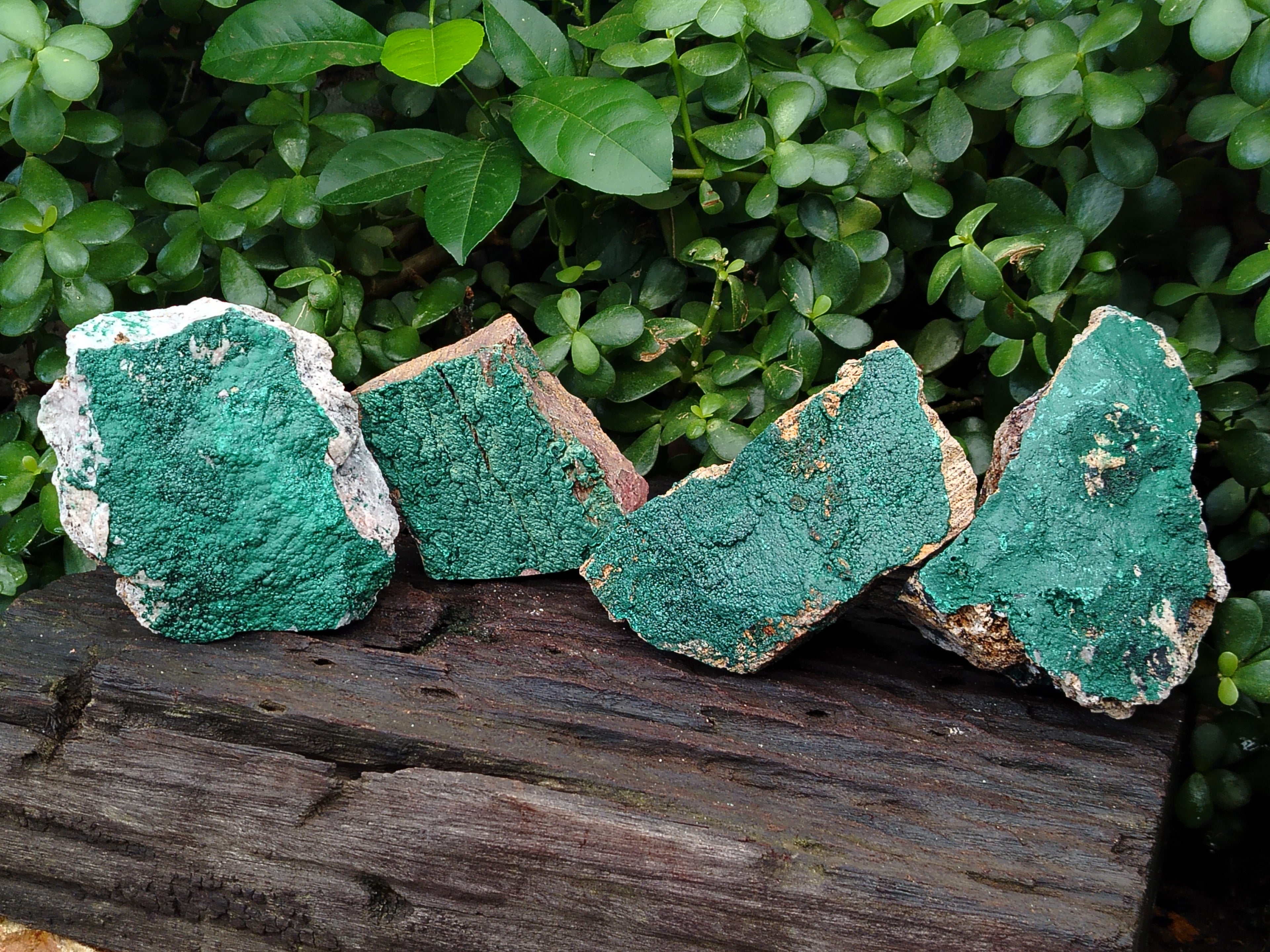 Natural Botryoidal Malachite Specimens x 4 From Tenke Fungurume, Congo - Toprock Gemstones and Minerals 