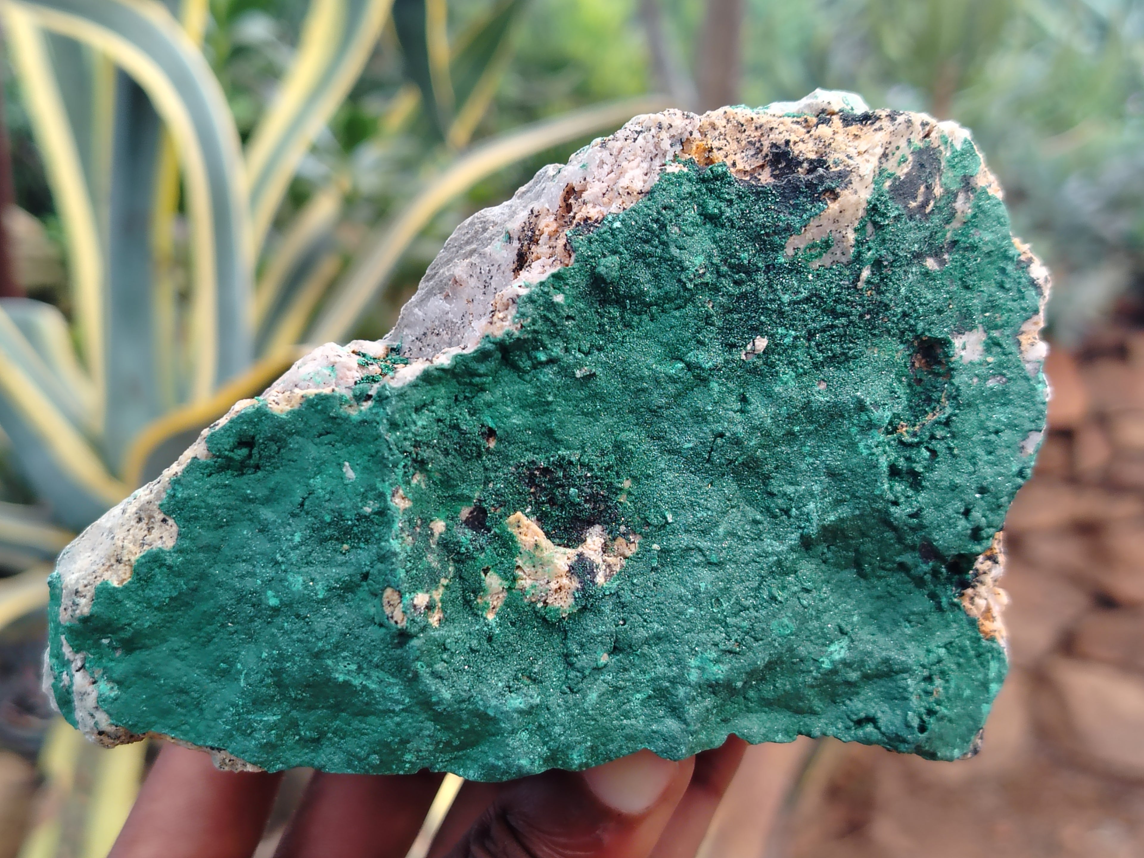 Natural Botryoidal Malachite Specimens x 4 From Tenke Fungurume, Congo - Toprock Gemstones and Minerals 