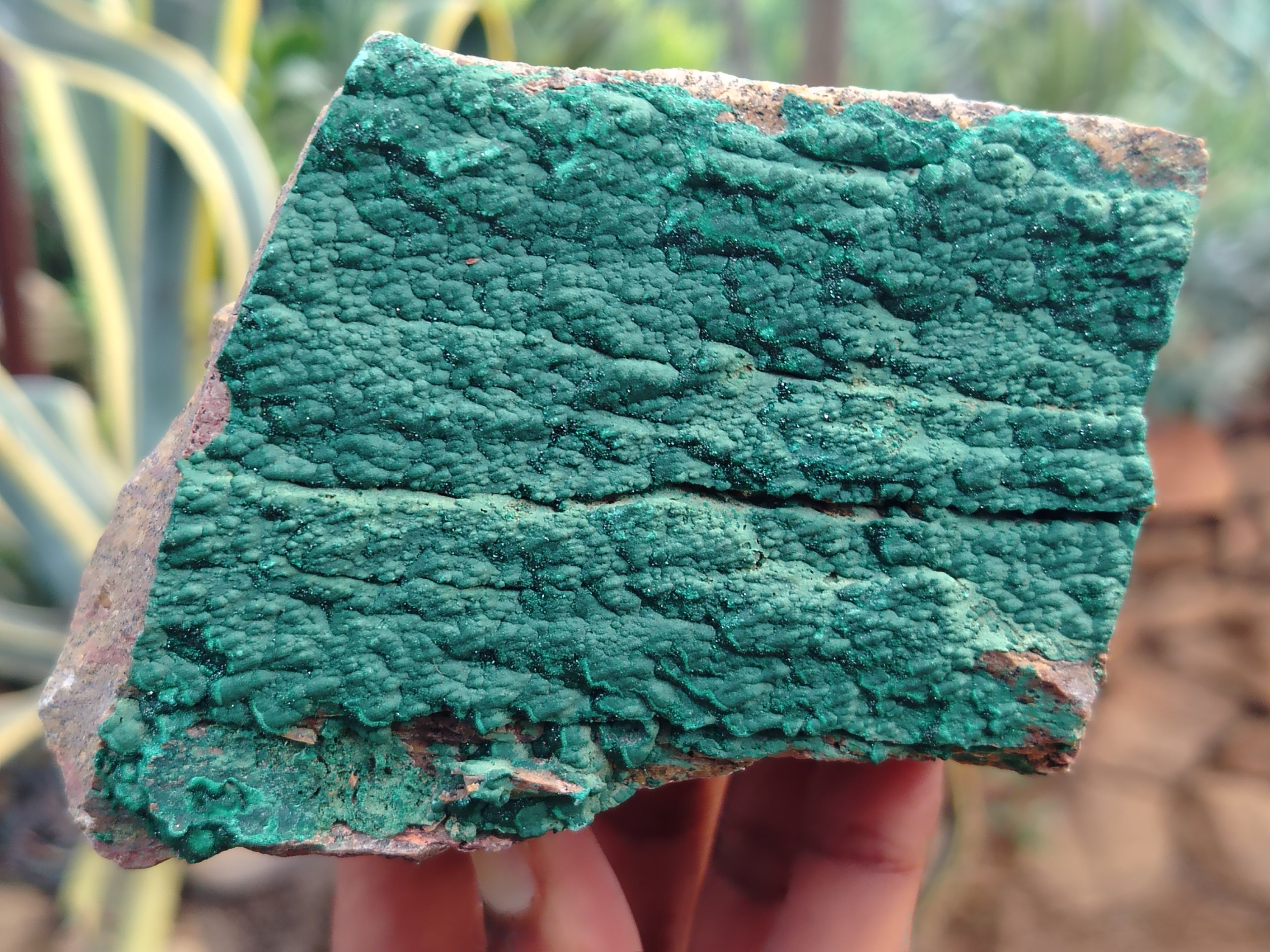 Natural Botryoidal Malachite Specimens x 4 From Tenke Fungurume, Congo - Toprock Gemstones and Minerals 