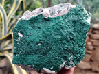 Natural Botryoidal Malachite Specimens x 4 From Tenke Fungurume, Congo - Toprock Gemstones and Minerals 