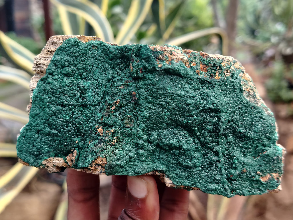 Natural Botryoidal Malachite Specimens x 4 From Tenke Fungurume, Congo - Toprock Gemstones and Minerals 