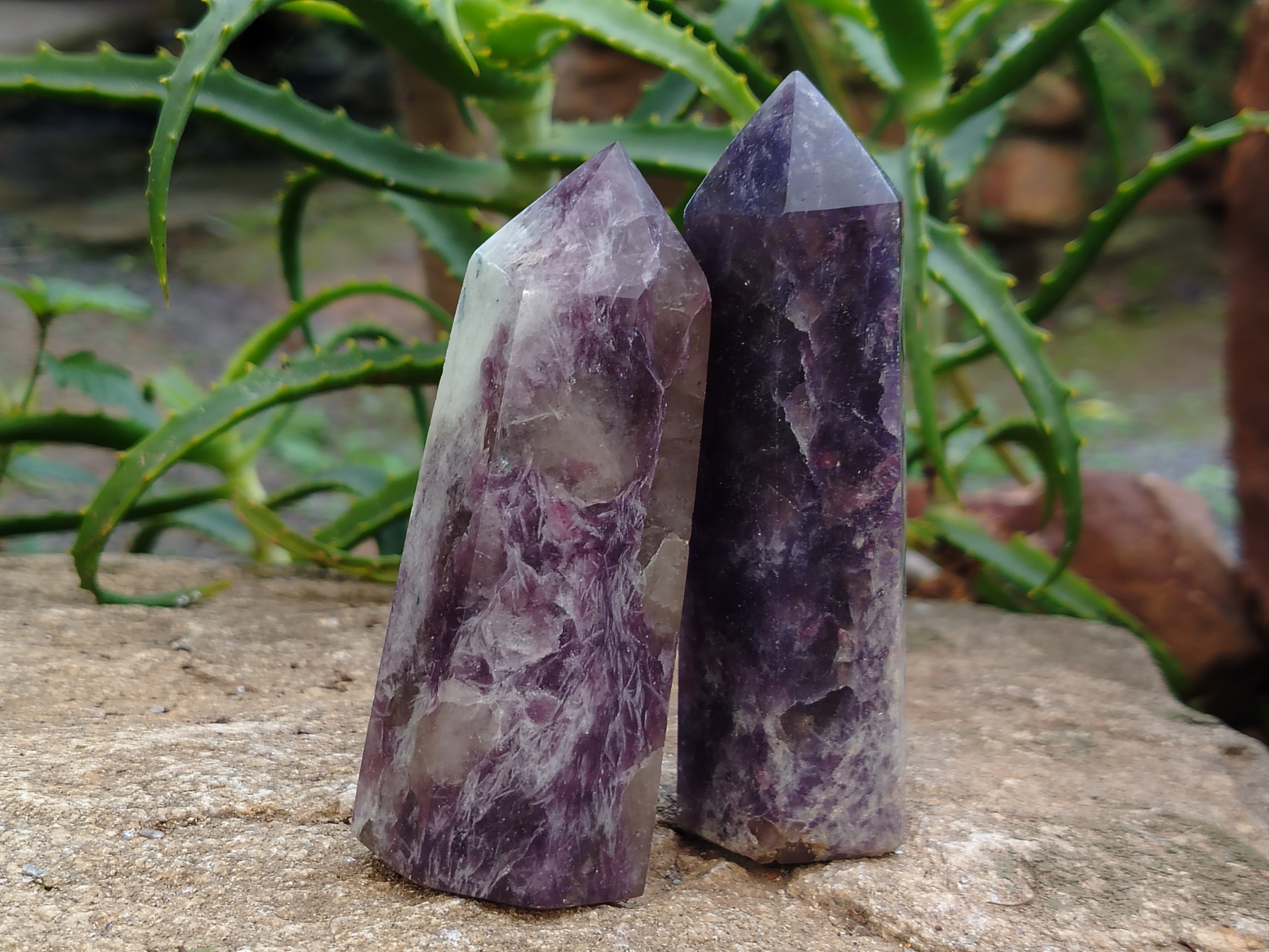 Polished Lepidolite with Pink Rubellite Points x 6 From Ambatondrazaka, Madagascar - Toprock Gemstones and Minerals 