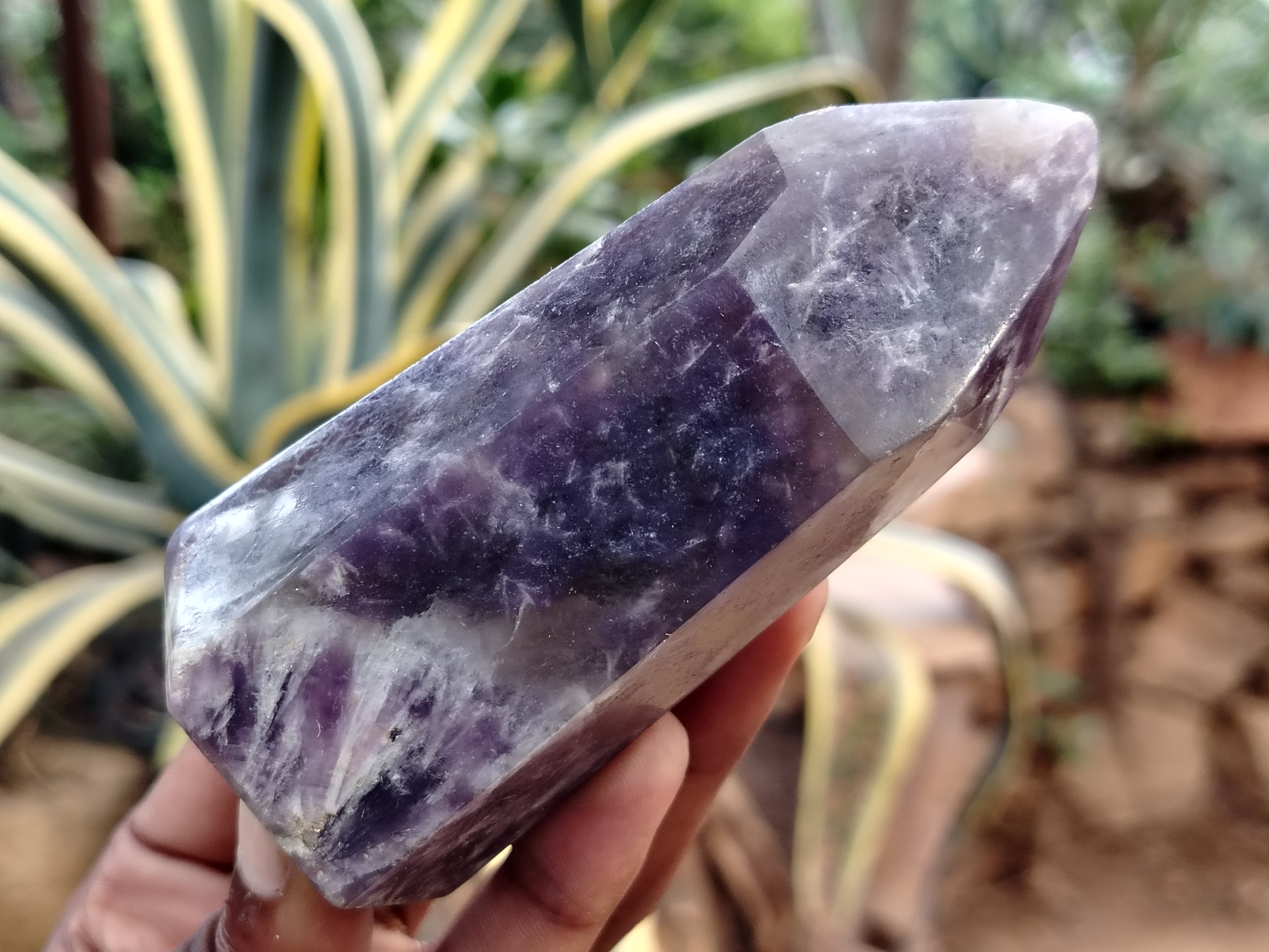 Polished Lepidolite with Pink Rubellite Points x 6 From Ambatondrazaka, Madagascar - Toprock Gemstones and Minerals 