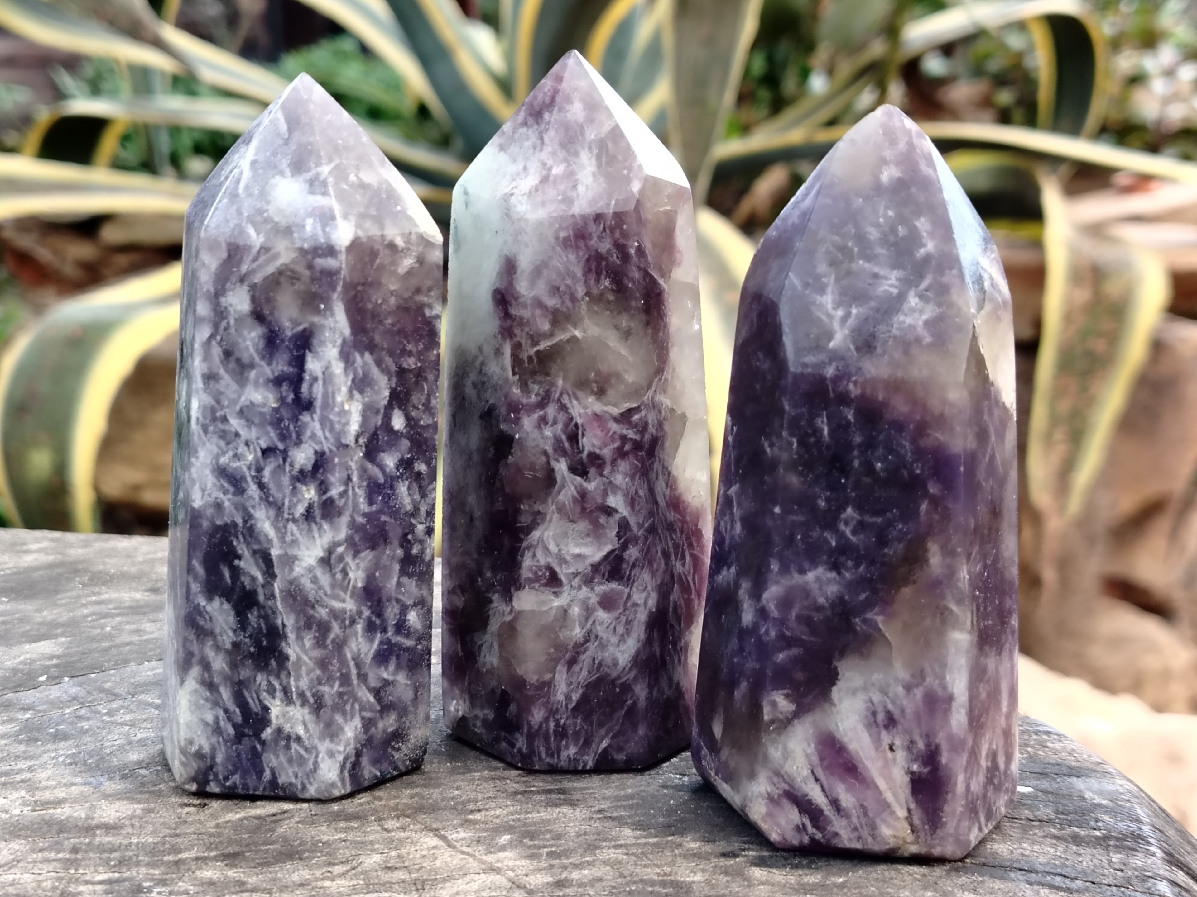 Polished Lepidolite with Pink Rubellite Points x 6 From Ambatondrazaka, Madagascar - Toprock Gemstones and Minerals 