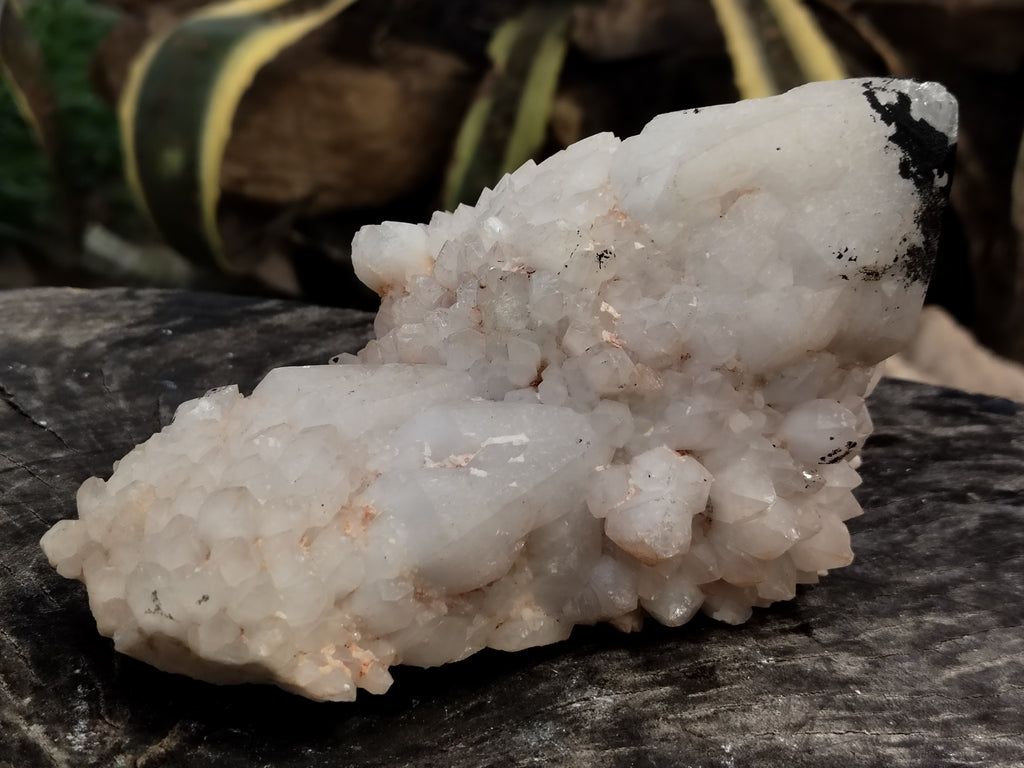Natural White Cascading Quartz Clusters x 2 From Madagascar - Toprock Gemstones and Minerals 