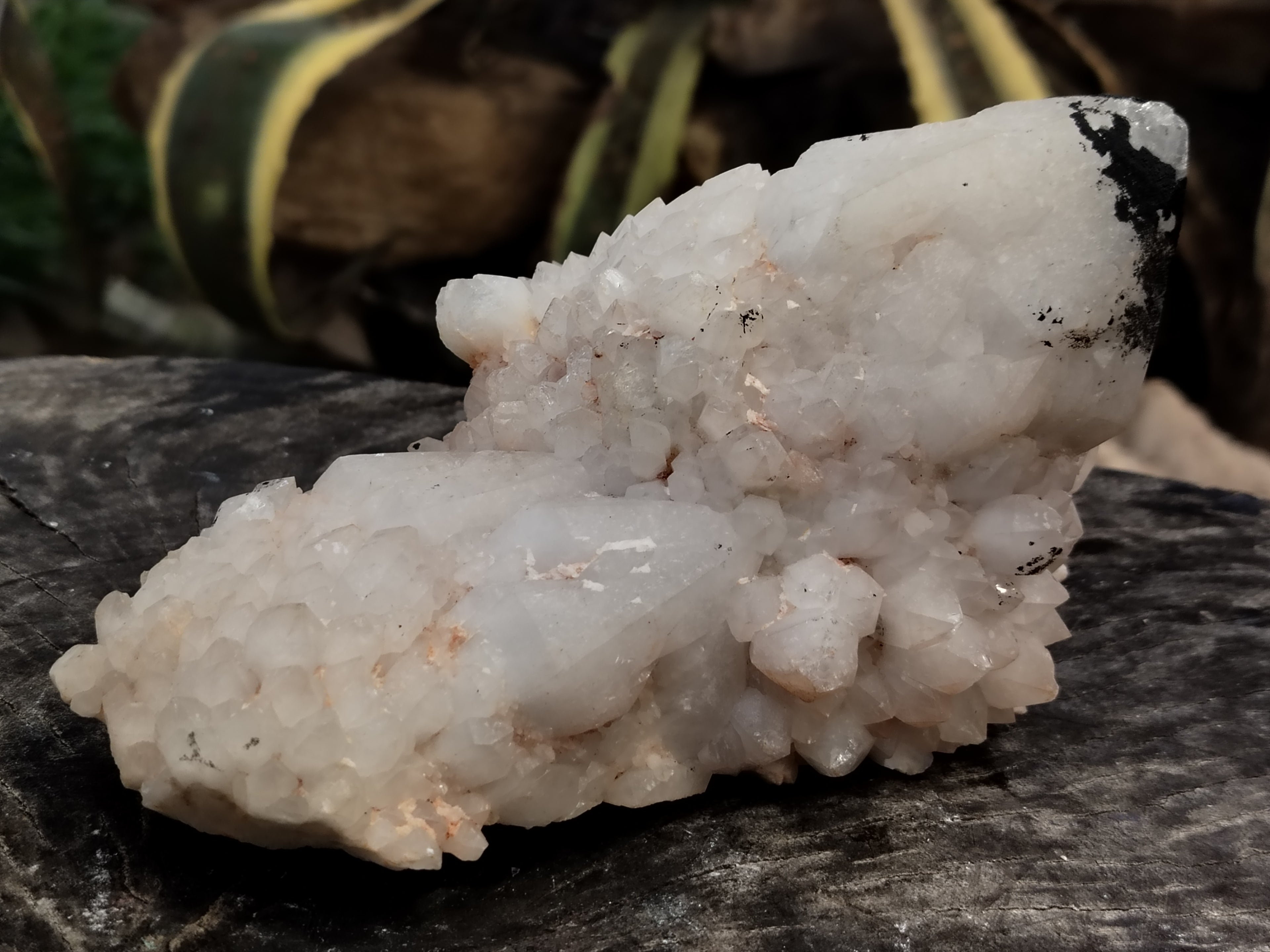 Natural White Cascading Quartz Clusters x 2 From Madagascar - Toprock Gemstones and Minerals 