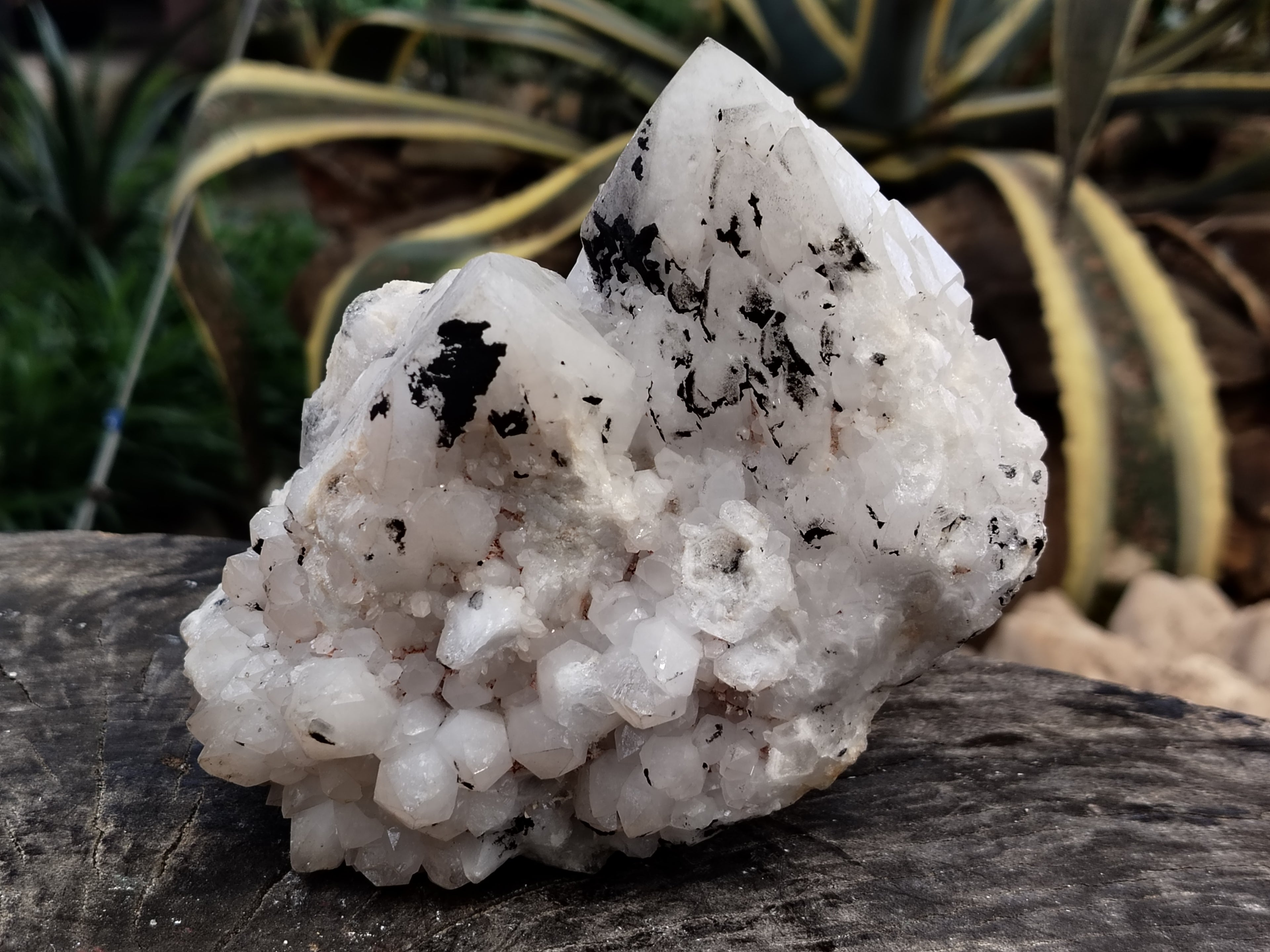 Natural White Cascading Quartz Clusters x 2 From Madagascar - Toprock Gemstones and Minerals 