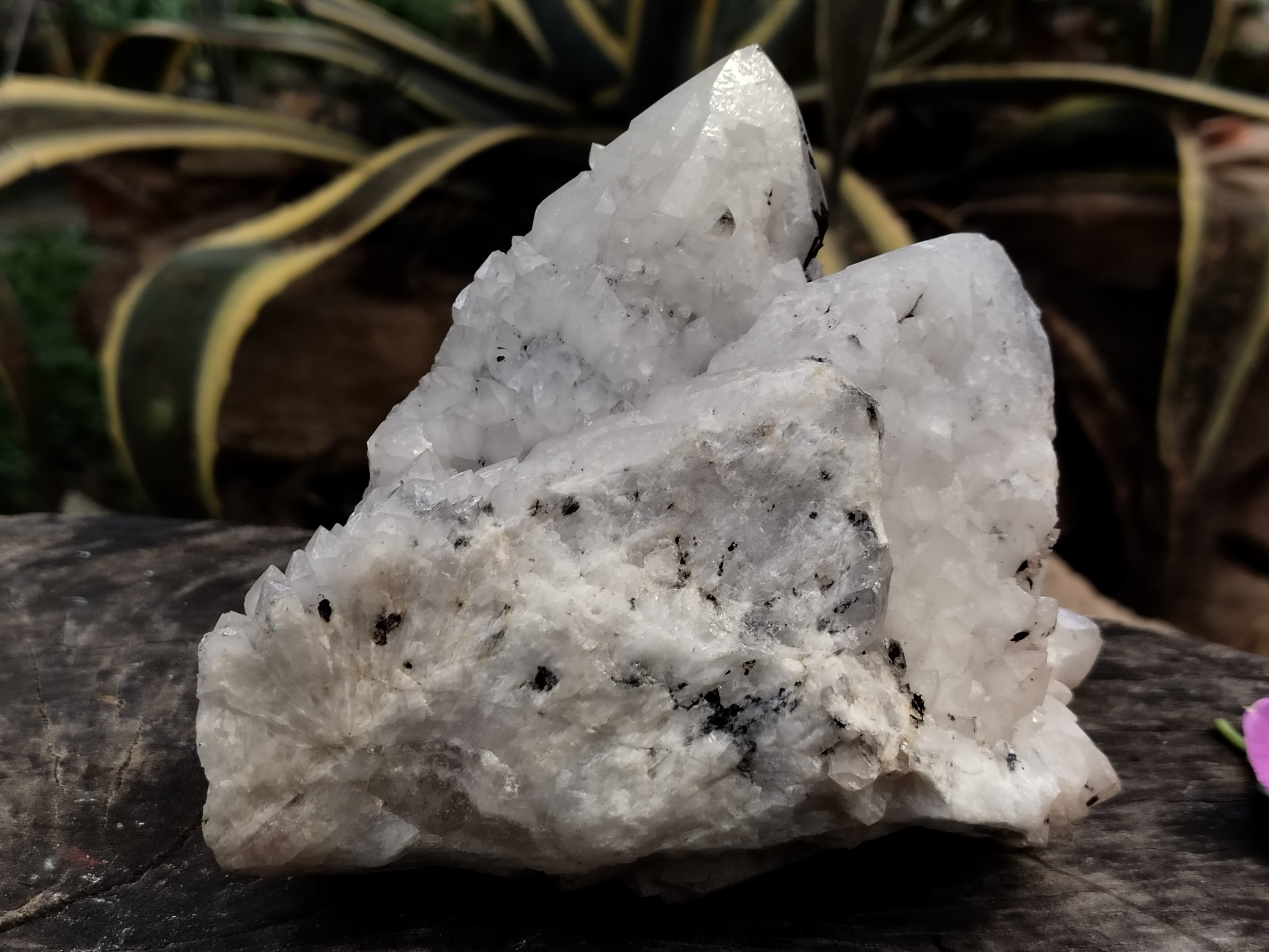 Natural White Cascading Quartz Clusters x 2 From Madagascar - Toprock Gemstones and Minerals 