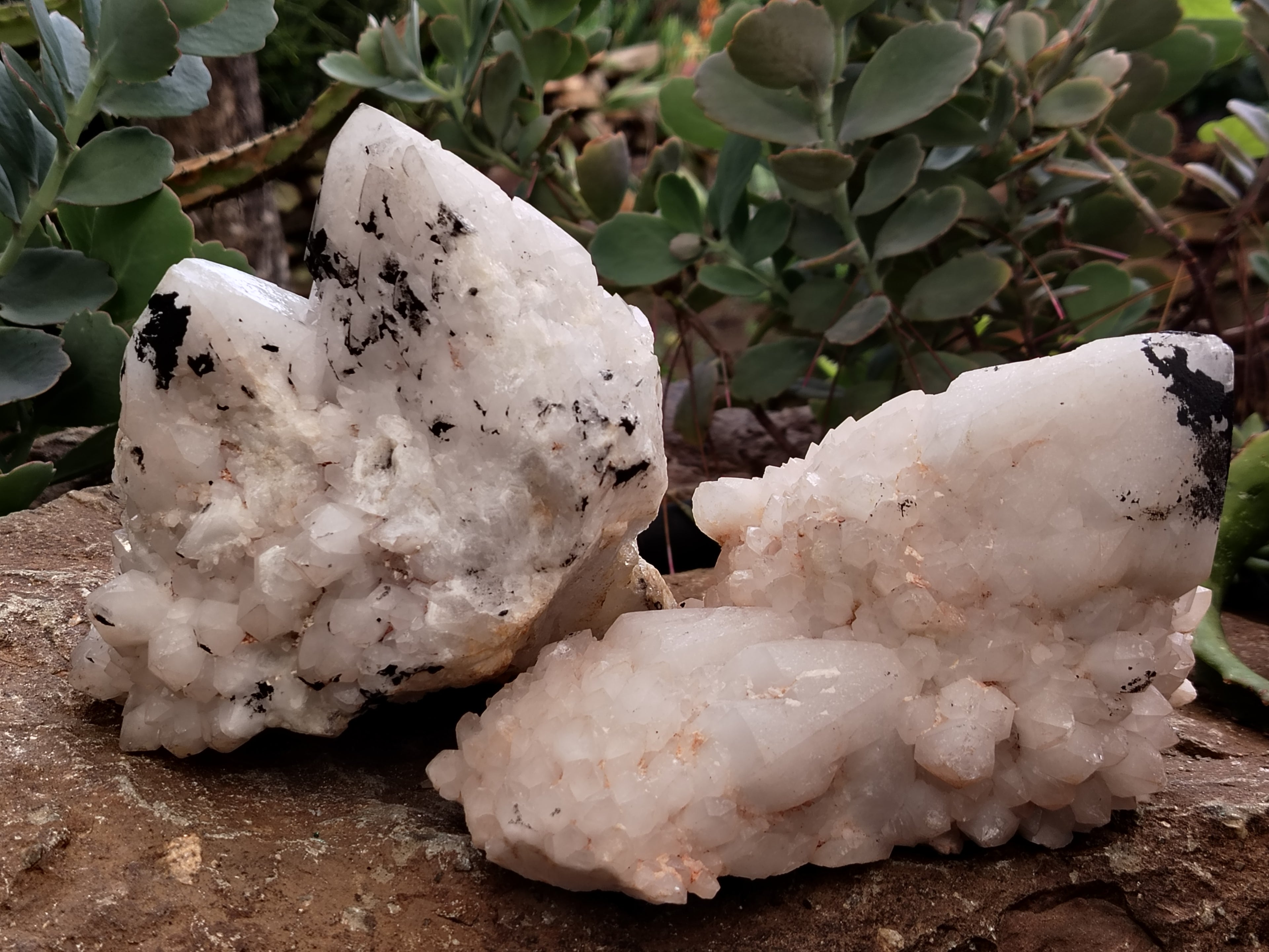 Natural White Cascading Quartz Clusters x 2 From Madagascar - Toprock Gemstones and Minerals 