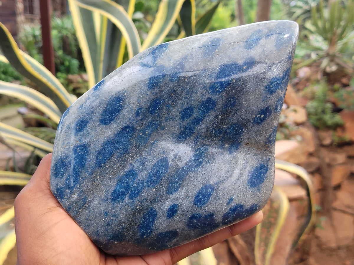 Polished Blue Spinel Spotted Quartz Leaf Sculpture x 1 From Madagascar - Toprock Gemstones and Minerals 