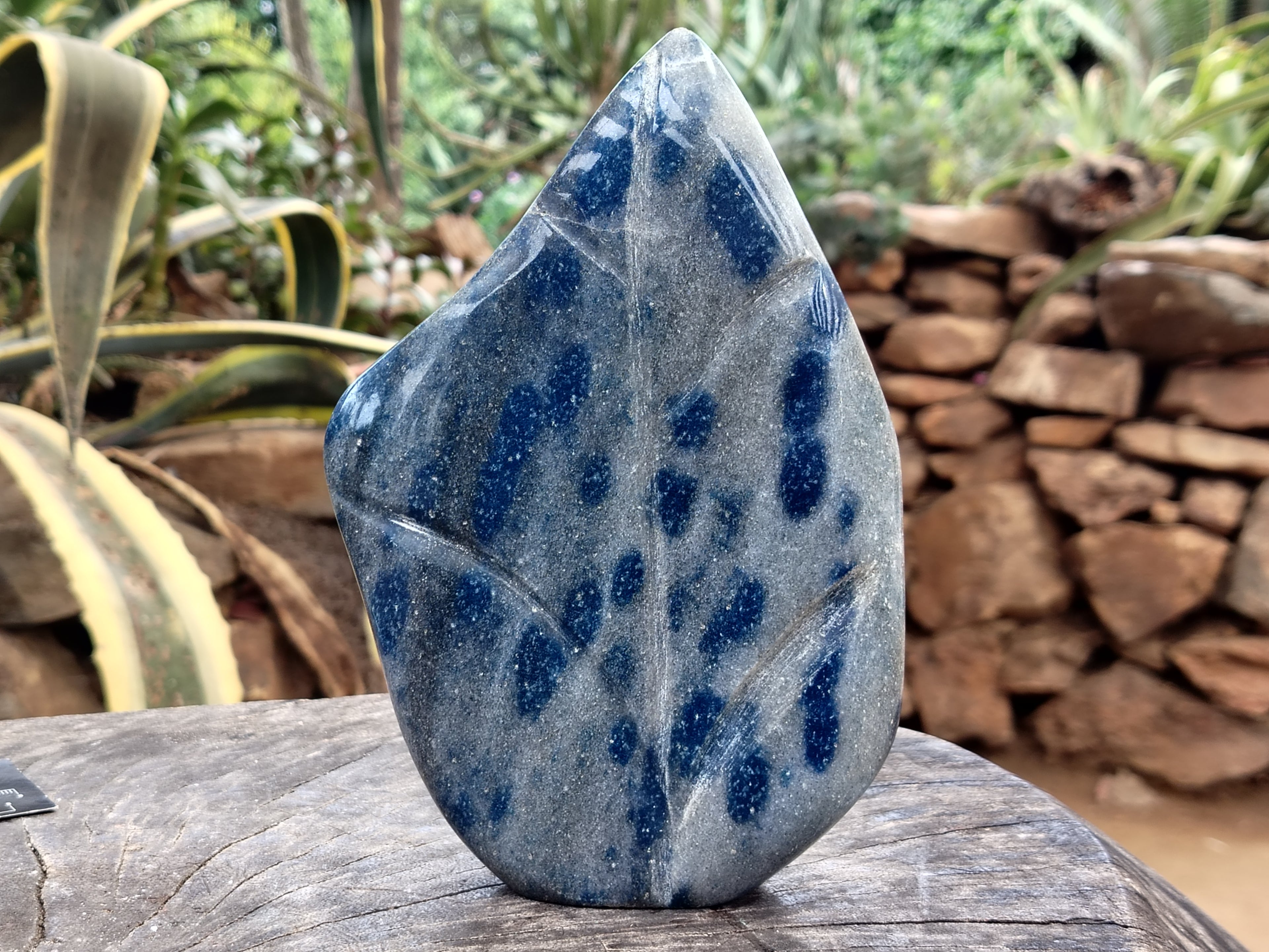 Polished Blue Spinel Spotted Quartz Leaf Sculpture x 1 From Madagascar - Toprock Gemstones and Minerals 