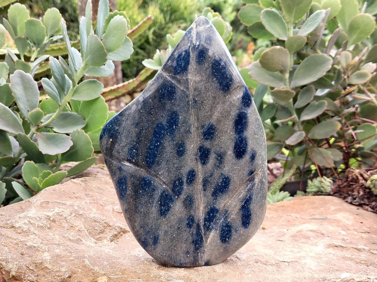Polished Blue Spinel Spotted Quartz Leaf Sculpture x 1 From Madagascar - Toprock Gemstones and Minerals 