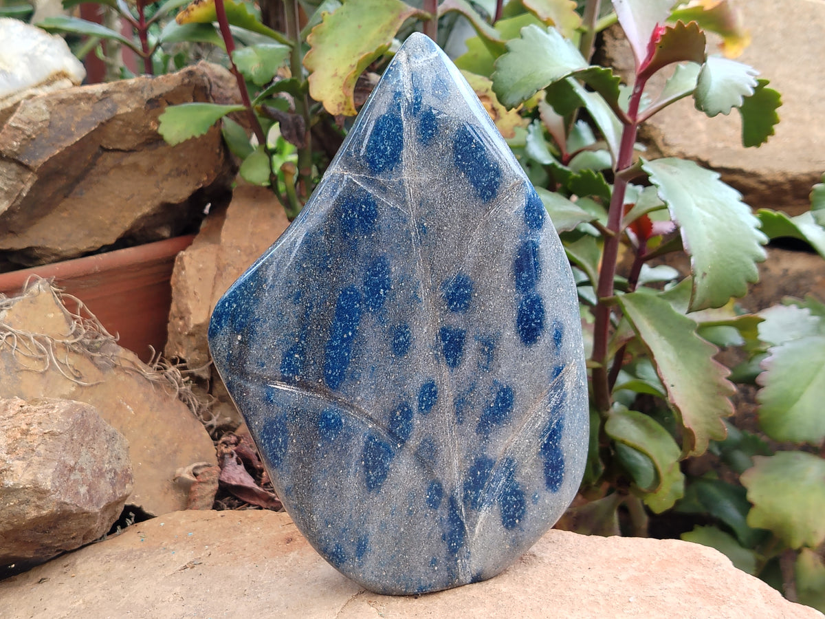 Polished Blue Spinel Spotted Quartz Leaf Sculpture x 1 From Madagascar - Toprock Gemstones and Minerals 
