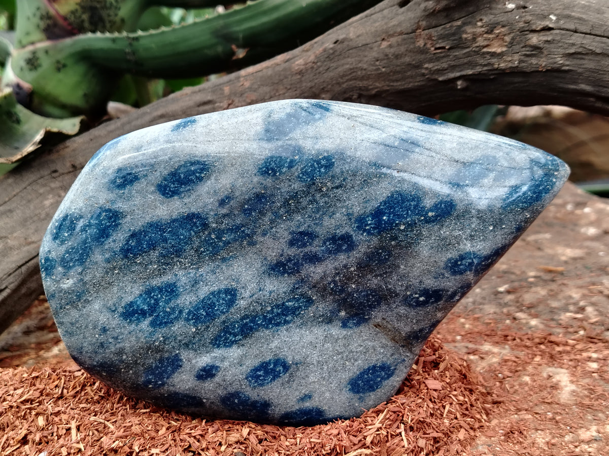 Polished Blue Spinel Spotted Quartz Leaf Sculpture x 1 From Madagascar - Toprock Gemstones and Minerals 