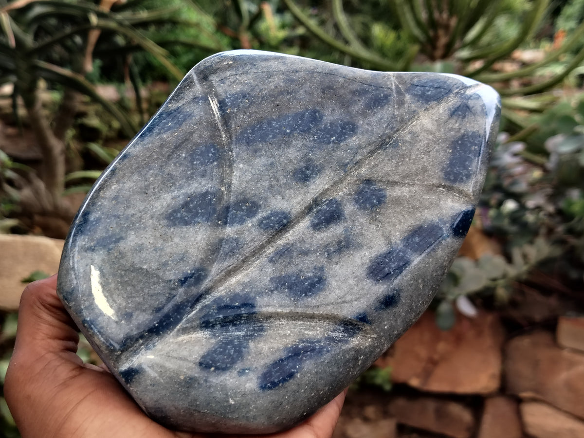 Polished Blue Spinel Spotted Quartz Leaf Sculpture x 1 From Madagascar - Toprock Gemstones and Minerals 