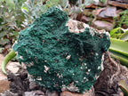 Natural Botryoidal Malachite Specimens x 1 From Tenke Fungurume, Congo - Toprock Gemstones and Minerals 
