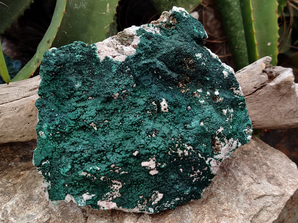 Natural Botryoidal Malachite Specimens x 1 From Tenke Fungurume, Congo - Toprock Gemstones and Minerals 