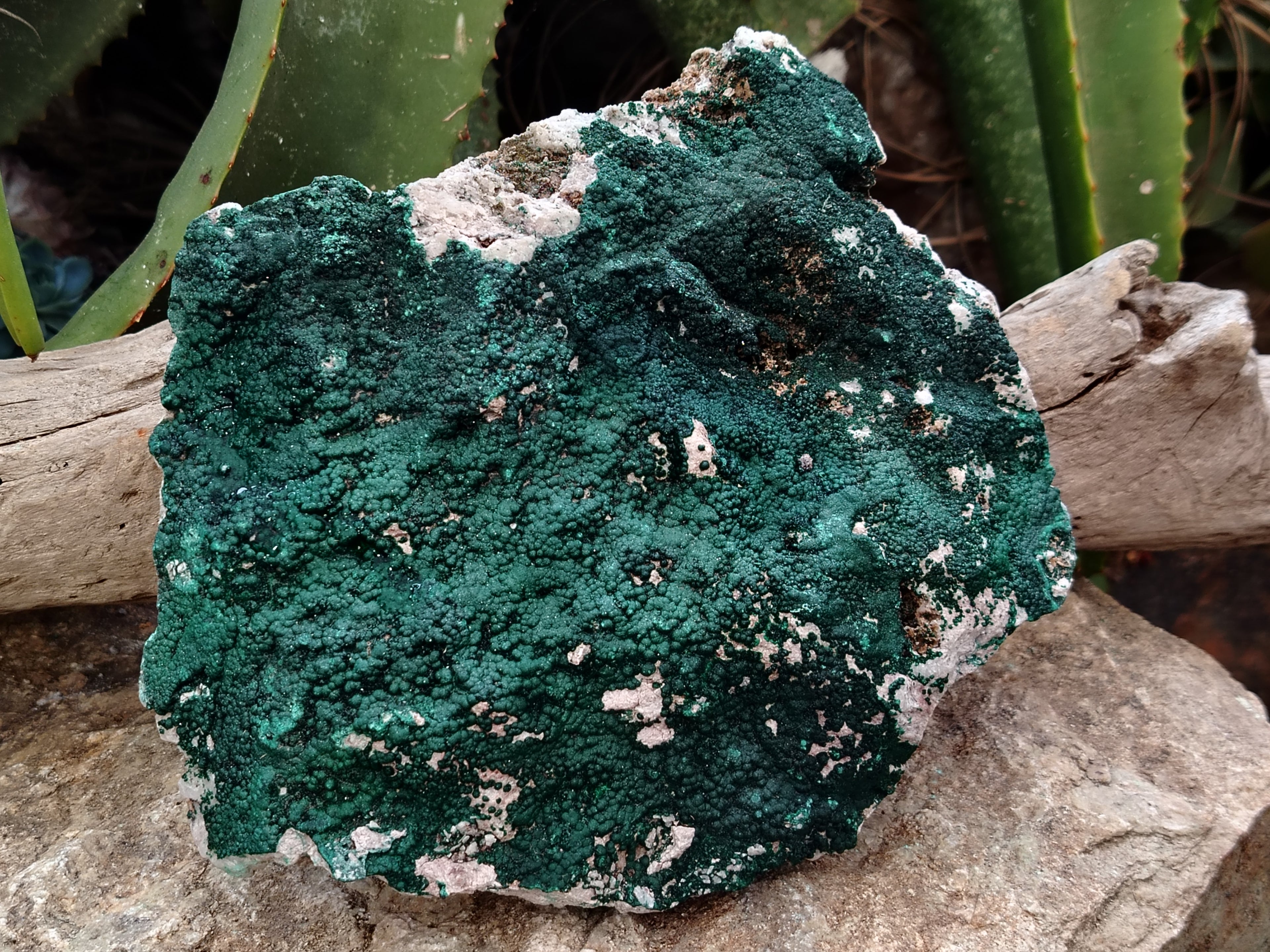 Natural Botryoidal Malachite Specimens x 1 From Tenke Fungurume, Congo - Toprock Gemstones and Minerals 
