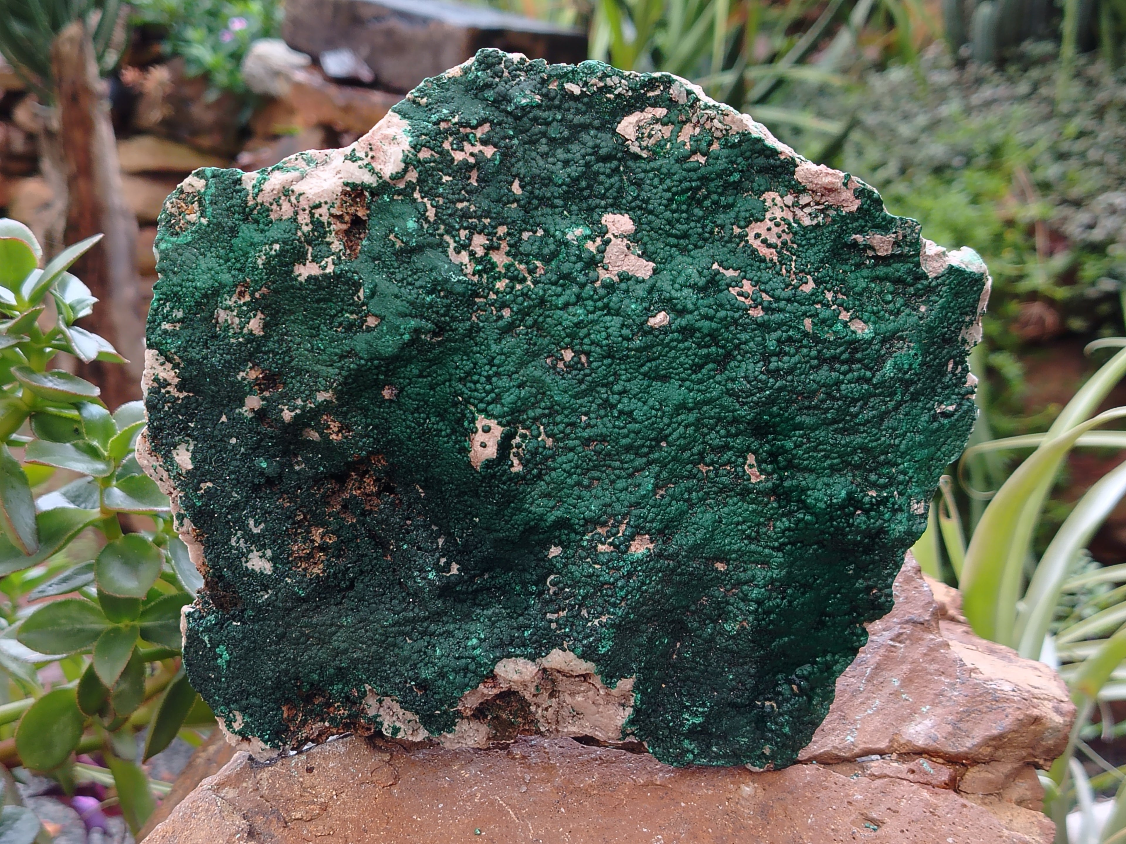 Natural Botryoidal Malachite Specimens x 1 From Tenke Fungurume, Congo - Toprock Gemstones and Minerals 