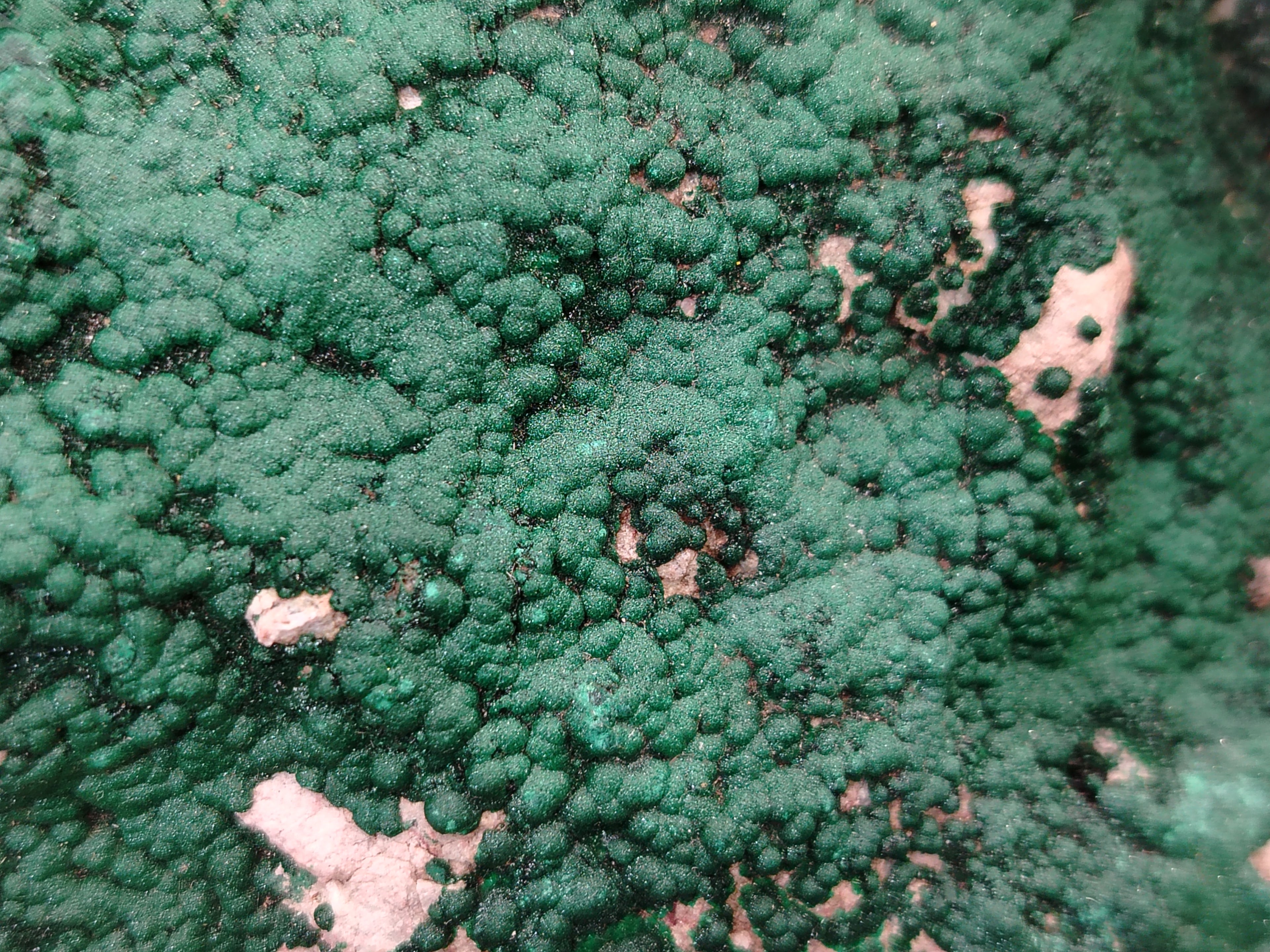 Natural Botryoidal Malachite Specimens x 1 From Tenke Fungurume, Congo - Toprock Gemstones and Minerals 