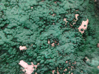 Natural Botryoidal Malachite Specimens x 1 From Tenke Fungurume, Congo - Toprock Gemstones and Minerals 