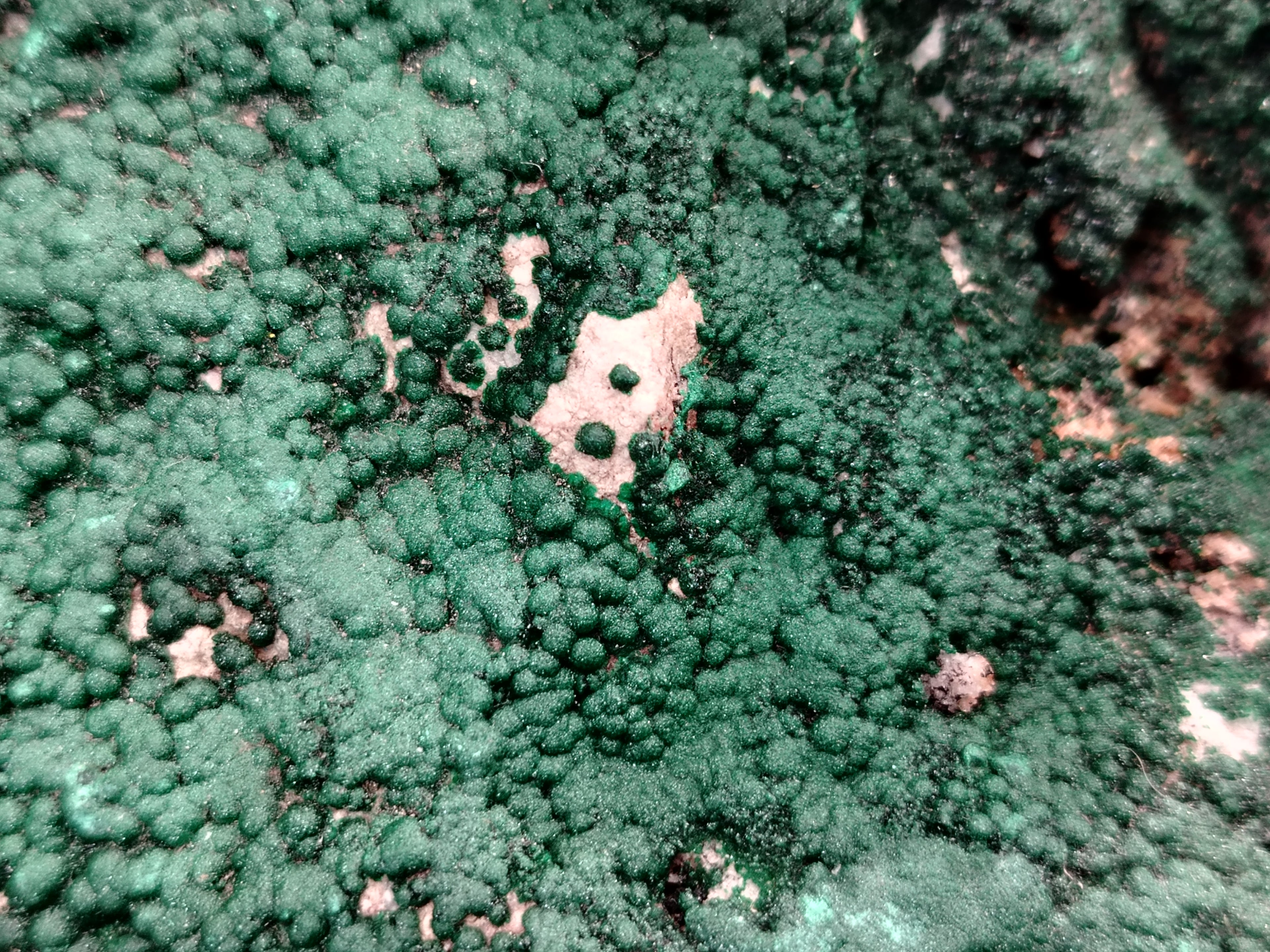 Natural Botryoidal Malachite Specimens x 1 From Tenke Fungurume, Congo - Toprock Gemstones and Minerals 