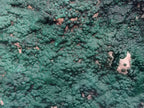 Natural Botryoidal Malachite Specimens x 1 From Tenke Fungurume, Congo - Toprock Gemstones and Minerals 