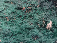 Natural Botryoidal Malachite Specimens x 1 From Tenke Fungurume, Congo - Toprock Gemstones and Minerals 