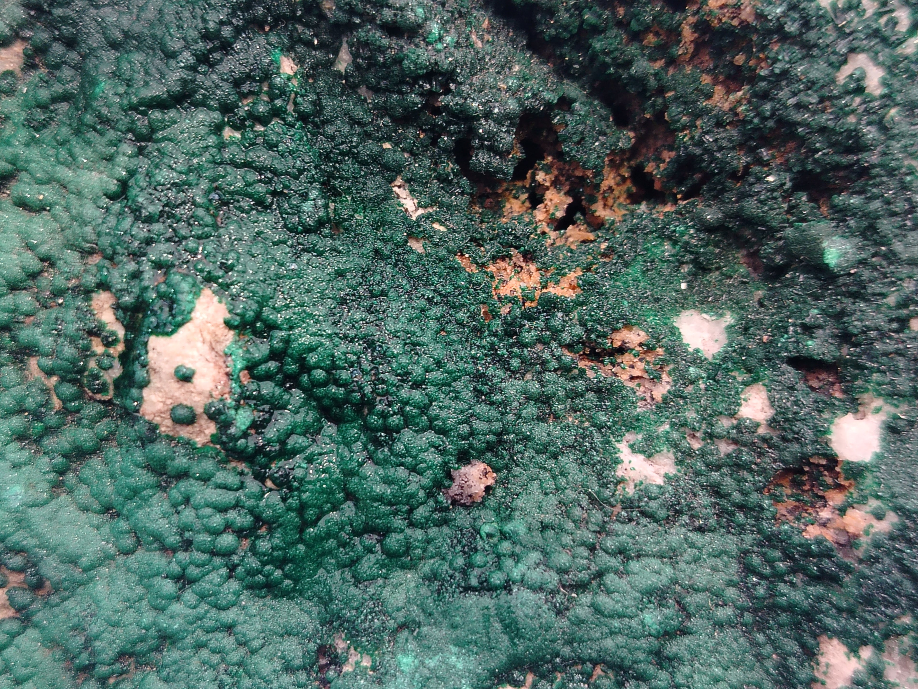 Natural Botryoidal Malachite Specimens x 1 From Tenke Fungurume, Congo - Toprock Gemstones and Minerals 