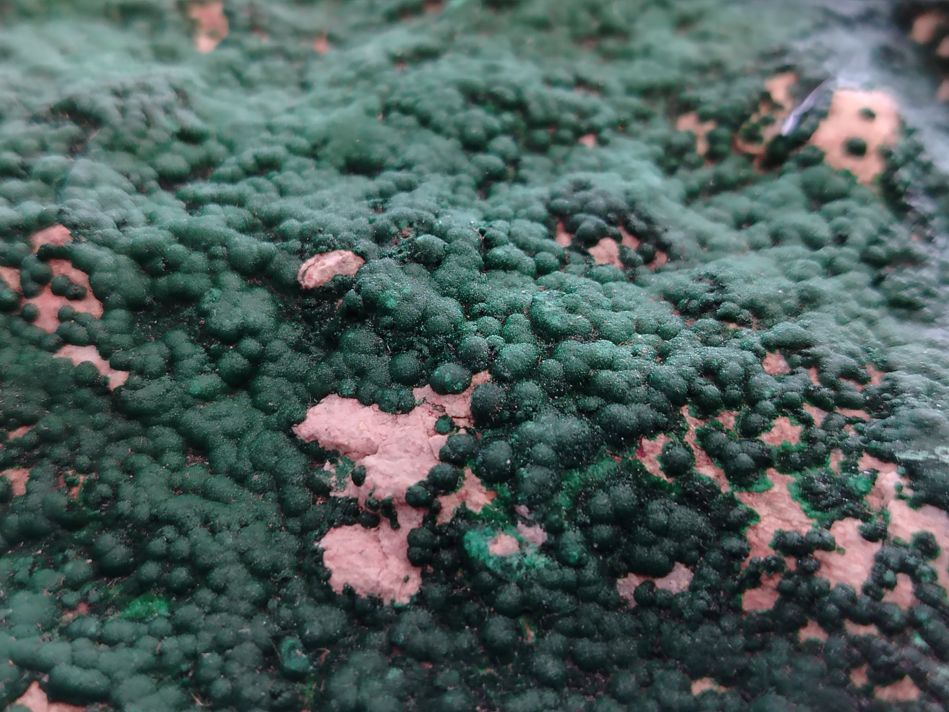 Natural Botryoidal Malachite Specimens x 1 From Tenke Fungurume, Congo - Toprock Gemstones and Minerals 