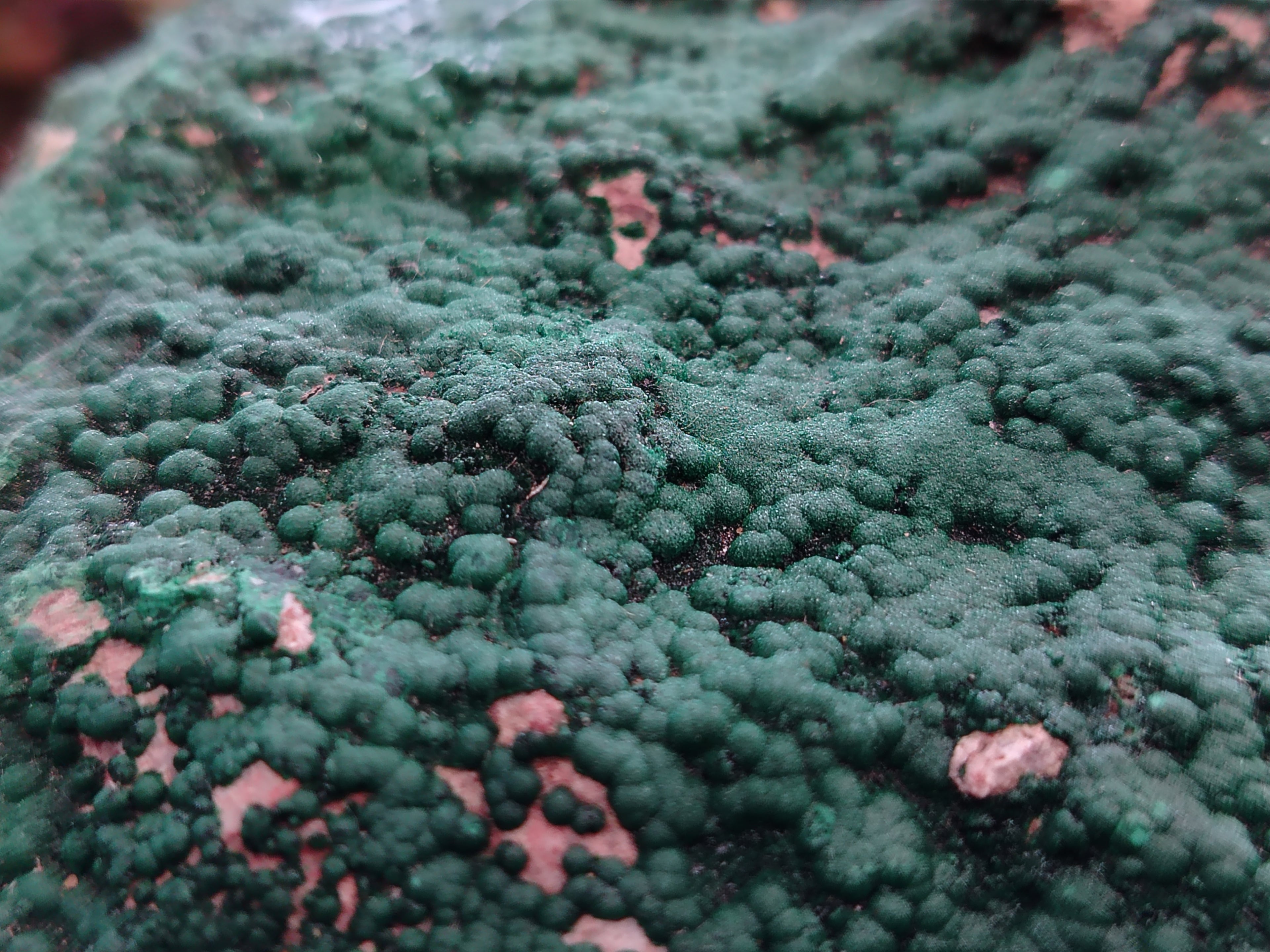 Natural Botryoidal Malachite Specimens x 1 From Tenke Fungurume, Congo - Toprock Gemstones and Minerals 