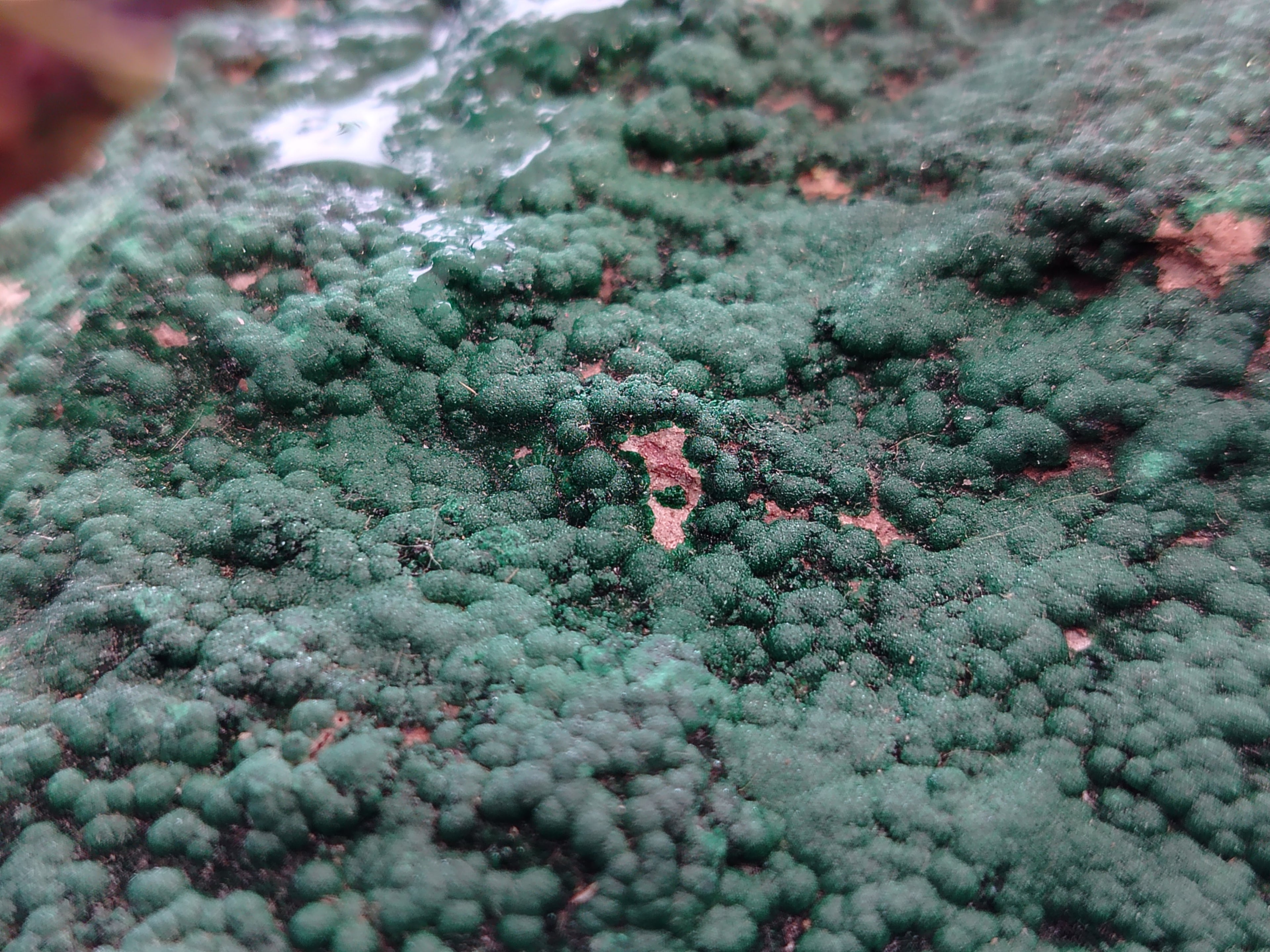 Natural Botryoidal Malachite Specimens x 1 From Tenke Fungurume, Congo - Toprock Gemstones and Minerals 