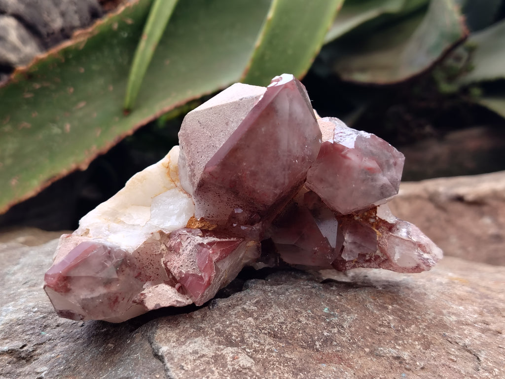 Natural Red Hematoid Phantom Quartz Clusters x 2 From Karoi, Zimbabwe - Toprock Gemstones and Minerals 