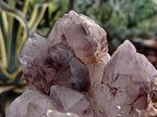 Natural Red Hematoid Phantom Quartz Clusters x 2 From Karoi, Zimbabwe - Toprock Gemstones and Minerals 