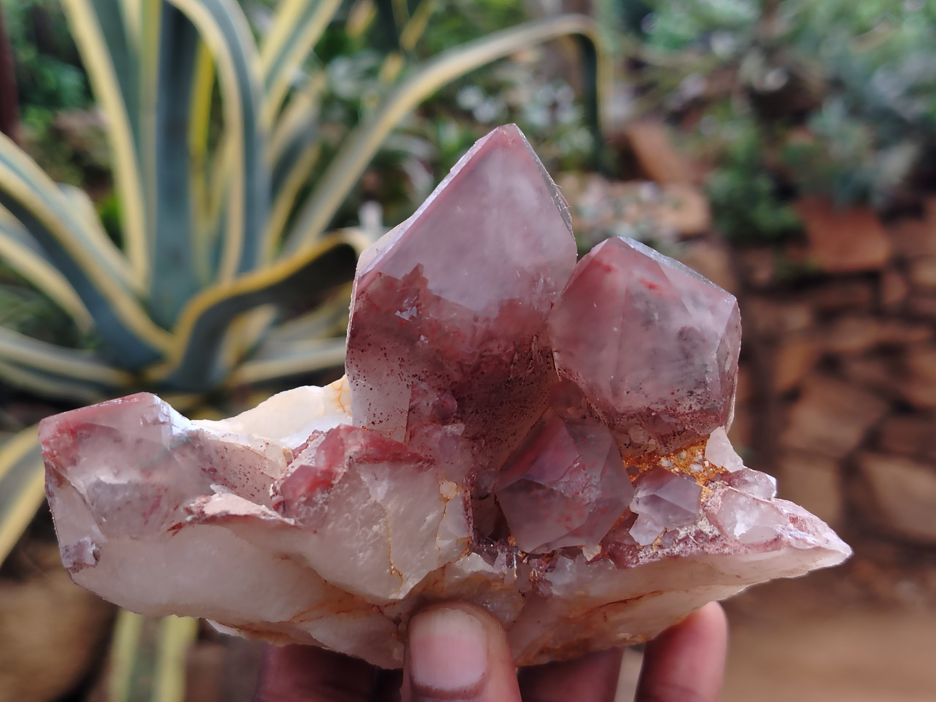 Natural Red Hematoid Phantom Quartz Clusters x 2 From Karoi, Zimbabwe - Toprock Gemstones and Minerals 