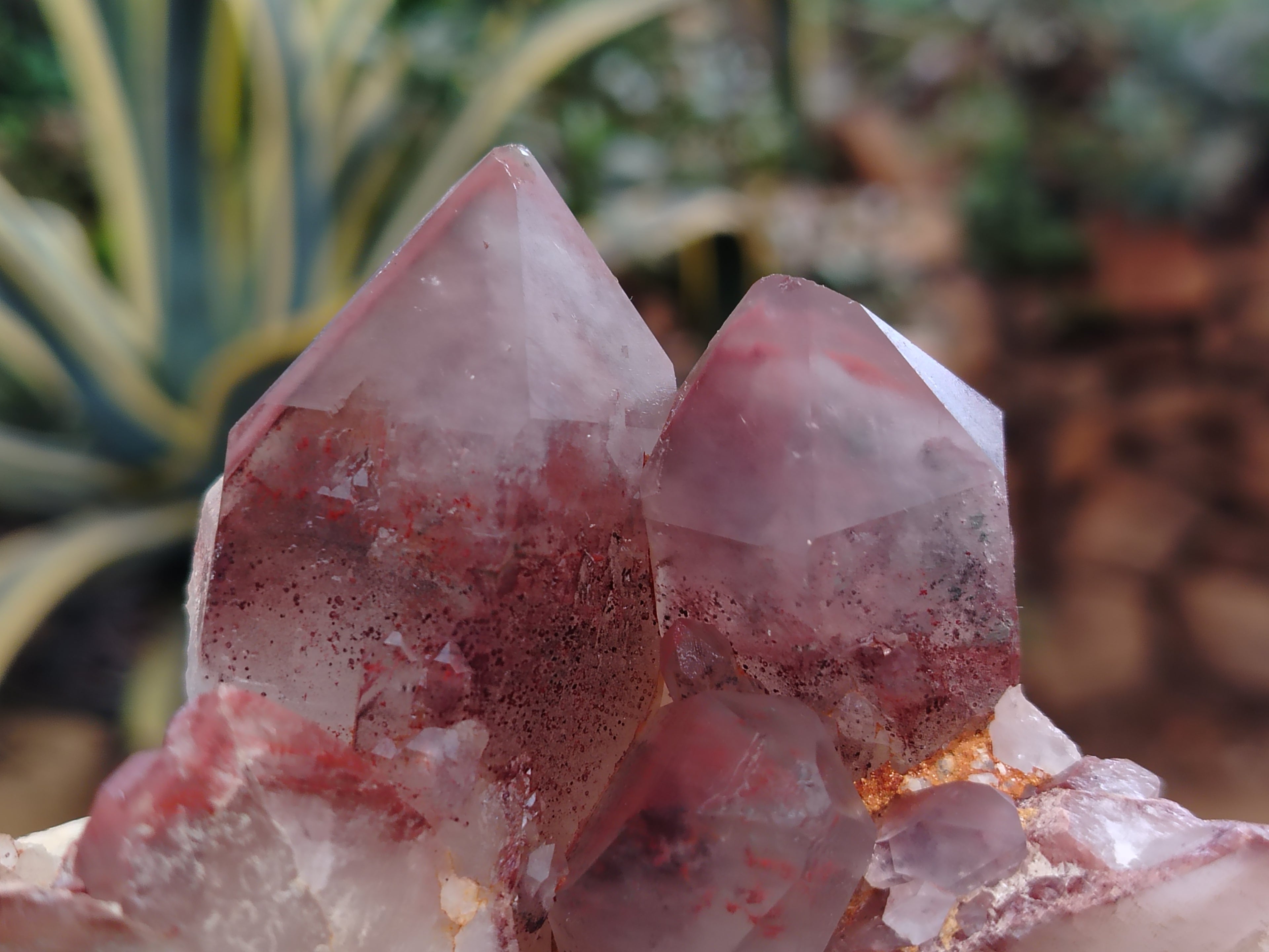 Natural Red Hematoid Phantom Quartz Clusters x 2 From Karoi, Zimbabwe - Toprock Gemstones and Minerals 