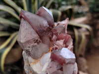 Natural Red Hematoid Phantom Quartz Clusters x 2 From Karoi, Zimbabwe - Toprock Gemstones and Minerals 