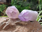 Natural Jacaranda Amethyst Single Quartz Crystals x 24 From Mumbwa, Zambia - Toprock Gemstones and Minerals 