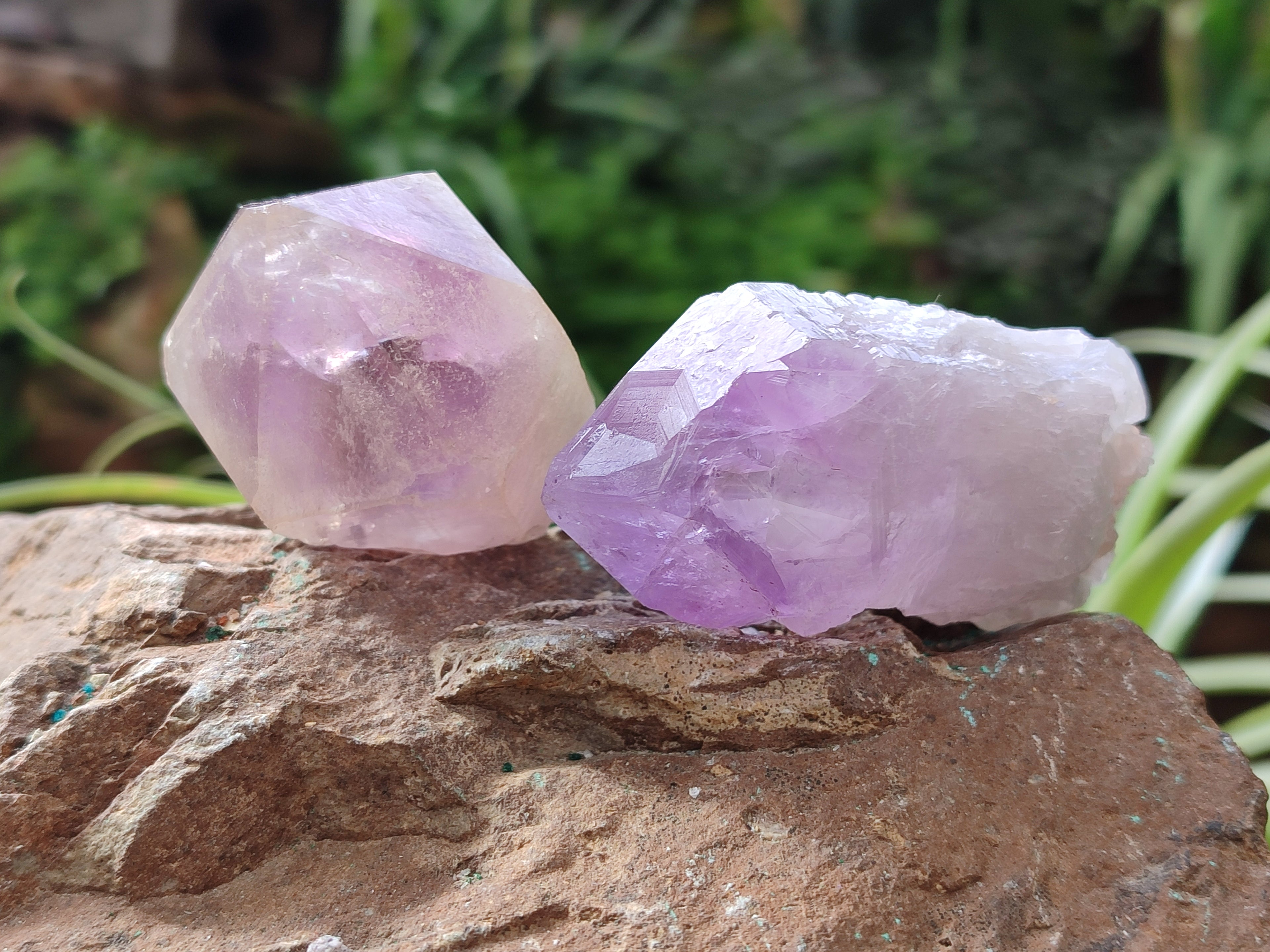 Natural Jacaranda Amethyst Single Quartz Crystals x 24 From Mumbwa, Zambia - Toprock Gemstones and Minerals 