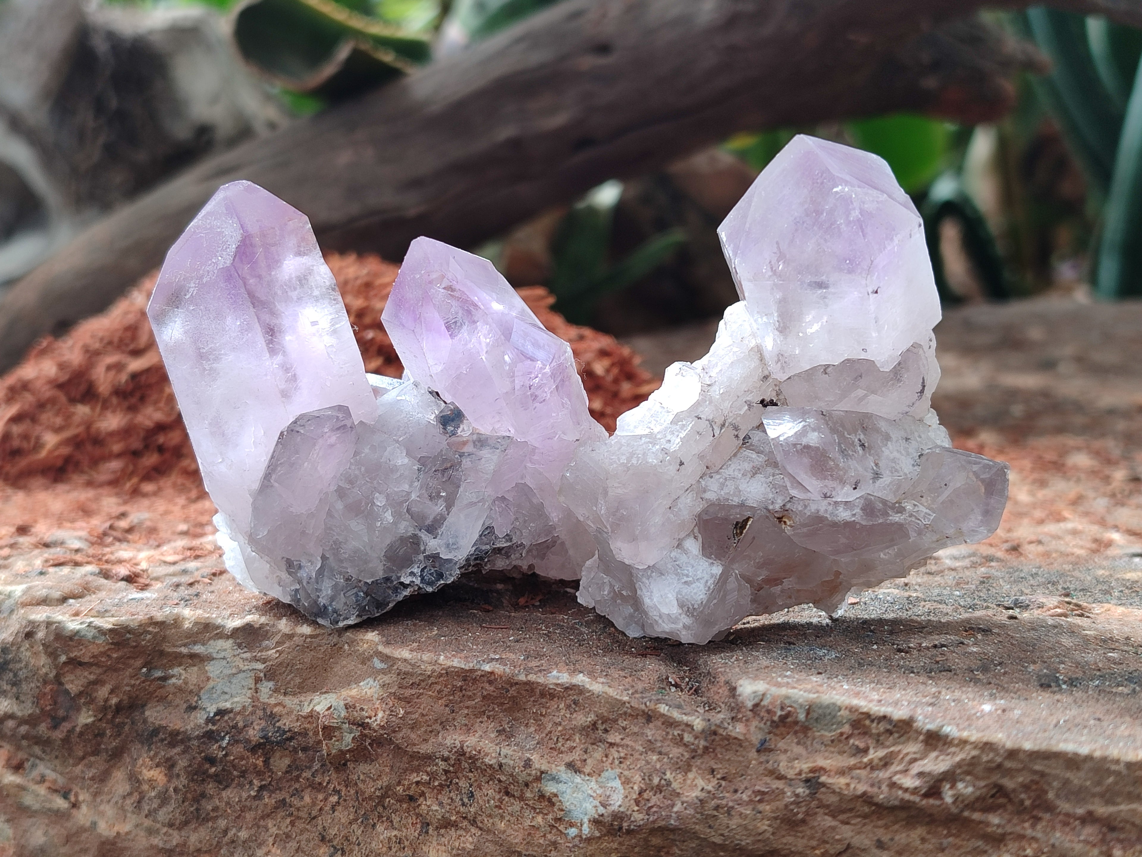 Natural Jacaranda Amethyst Single Quartz Crystals x 24 From Mumbwa, Zambia - Toprock Gemstones and Minerals 