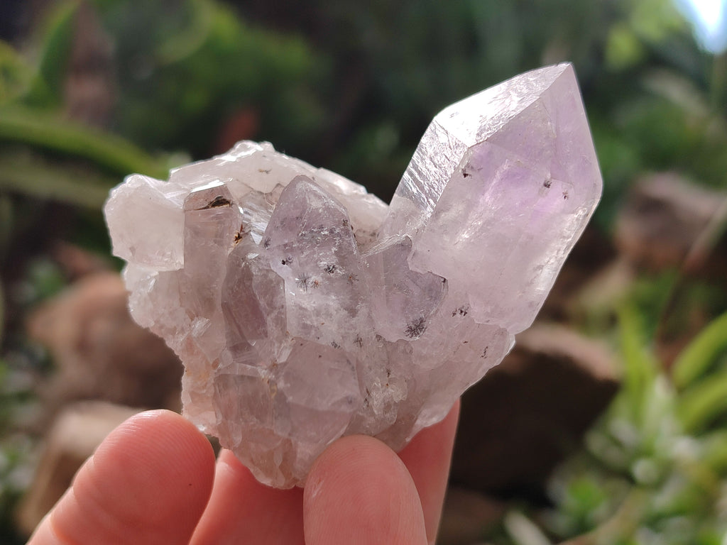 Natural Jacaranda Amethyst Single Quartz Crystals x 24 From Mumbwa, Zambia - Toprock Gemstones and Minerals 