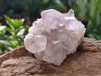 Natural Jacaranda Amethyst Single Quartz Crystals x 24 From Mumbwa, Zambia - Toprock Gemstones and Minerals 