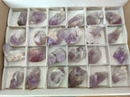 Natural Jacaranda Amethyst Single Quartz Crystals x 24 From Mumbwa, Zambia - Toprock Gemstones and Minerals 