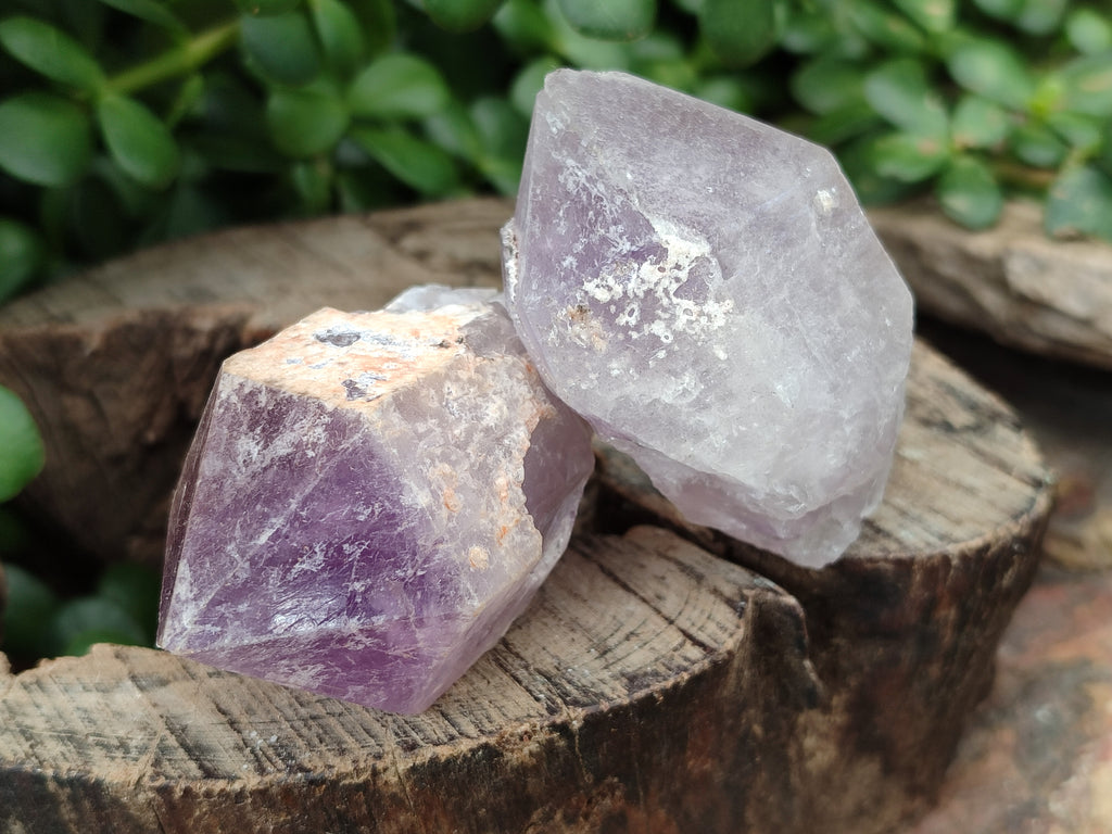 Natural Jacaranda Amethyst Single Quartz Crystals x 24 From Mumbwa, Zambia - Toprock Gemstones and Minerals 