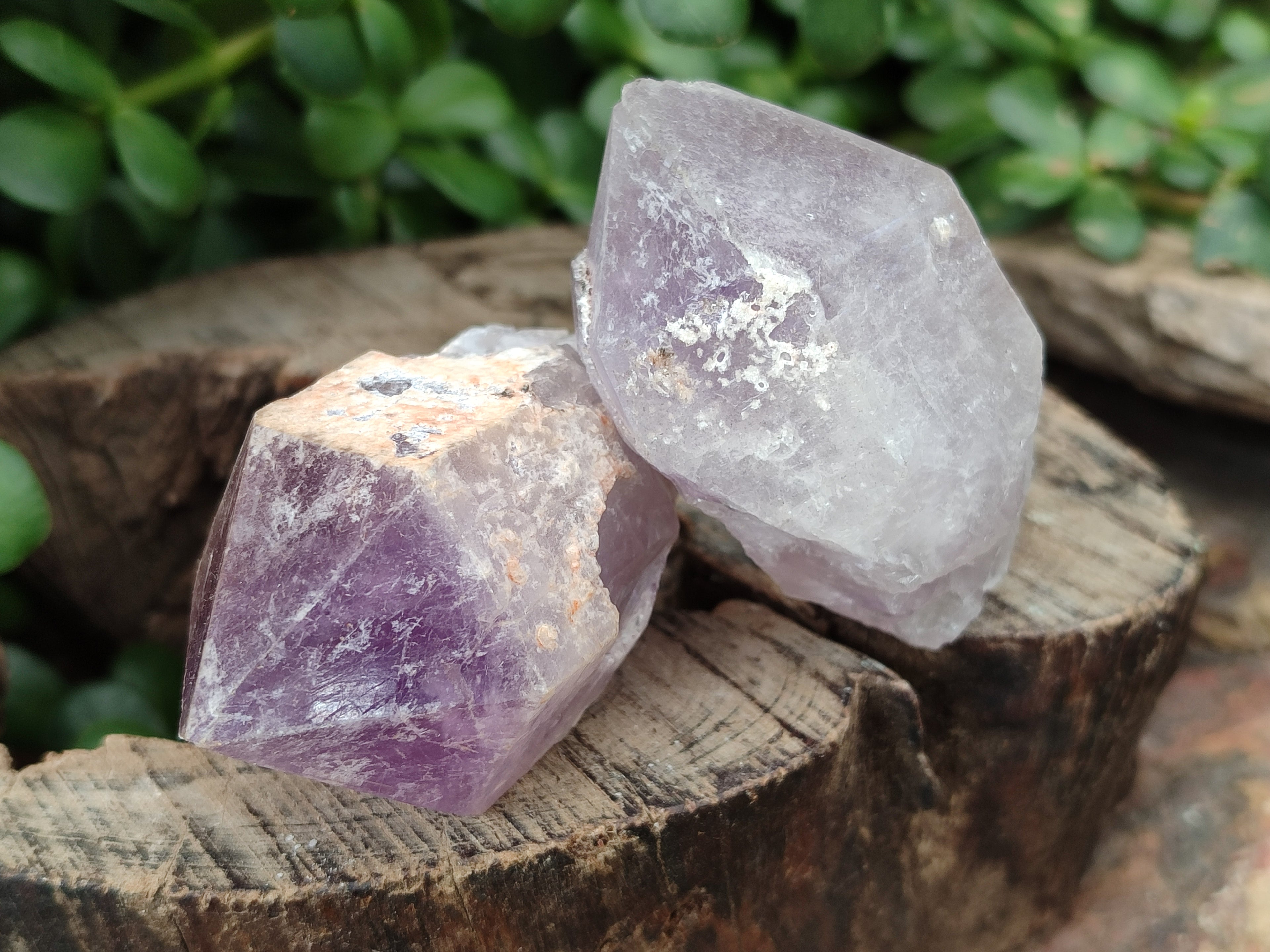 Natural Jacaranda Amethyst Single Quartz Crystals x 24 From Mumbwa, Zambia - Toprock Gemstones and Minerals 