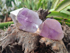 Natural Jacaranda Amethyst Single Quartz Crystals x 24 From Mumbwa, Zambia - Toprock Gemstones and Minerals 