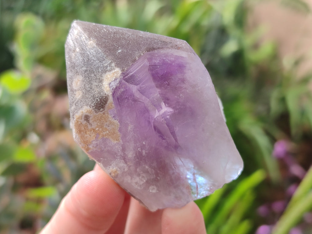 Natural Jacaranda Amethyst Single Quartz Crystals x 24 From Mumbwa, Zambia - Toprock Gemstones and Minerals 